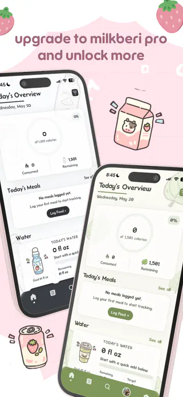 Theme Customization